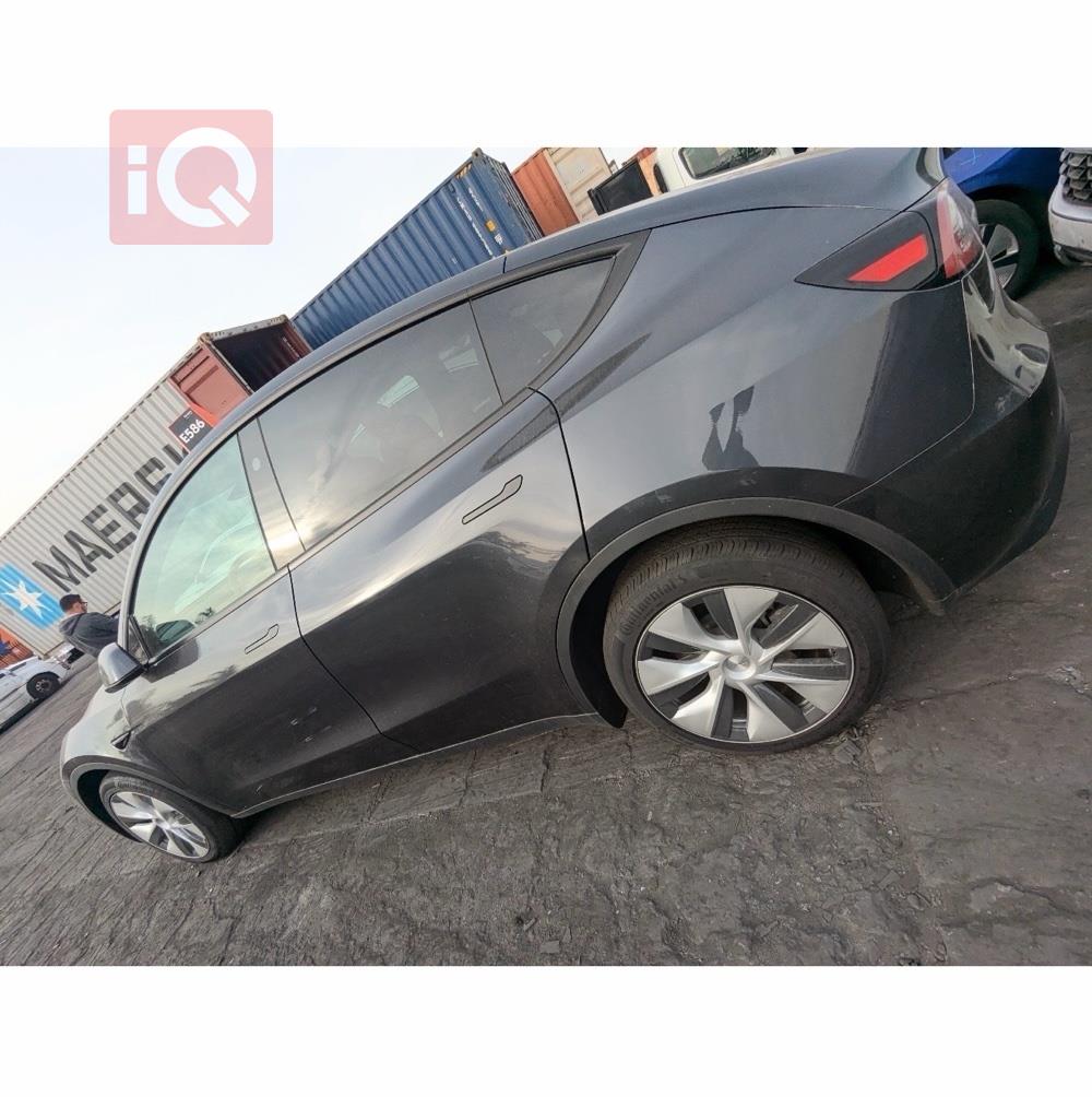 تسلا موديل Y